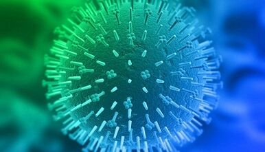 Mënsch Papillomavirus Infektiounsrouten