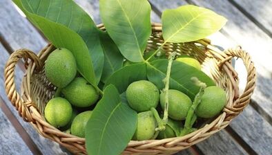 Walnüsse fir Papillome ze läschen