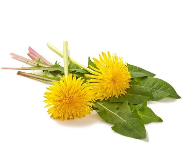 Dandelions fir cauterization vun papillomas