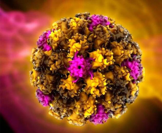 Mënsch Papillomavirus